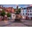 Bluebird Puzzle - Puzzle Heidelberg, Germany - 1 000 piese