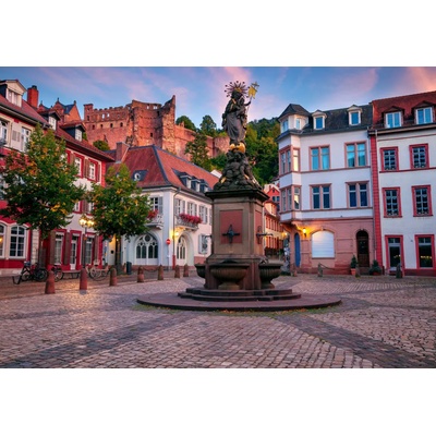Bluebird Puzzle - Puzzle Heidelberg, Germany - 1 000 piese