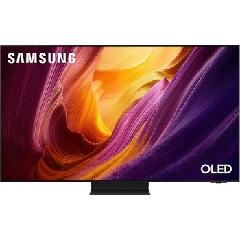 Samsung QE65S95HFT