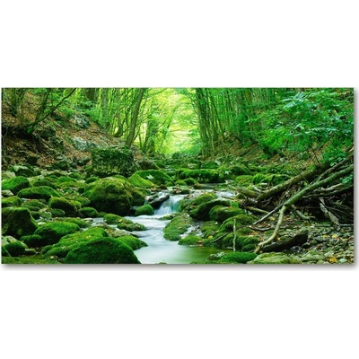 Fotoobraz na skle Prameň v lese 100x50 cm