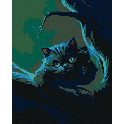 Malování podle čísel NOČNÍ ŽIVOT KOČKY