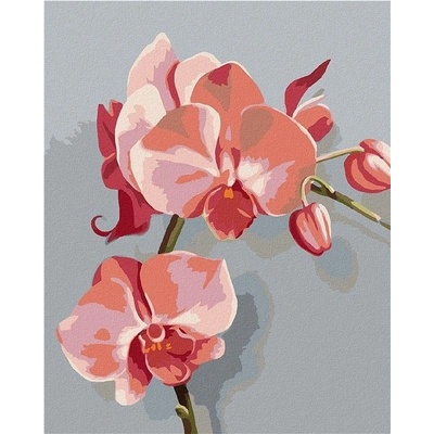 zuty Malování Podle Čísel Růžová Orchidei Myroslava Voloschuk 80 x 100 Cm Plátno Rám