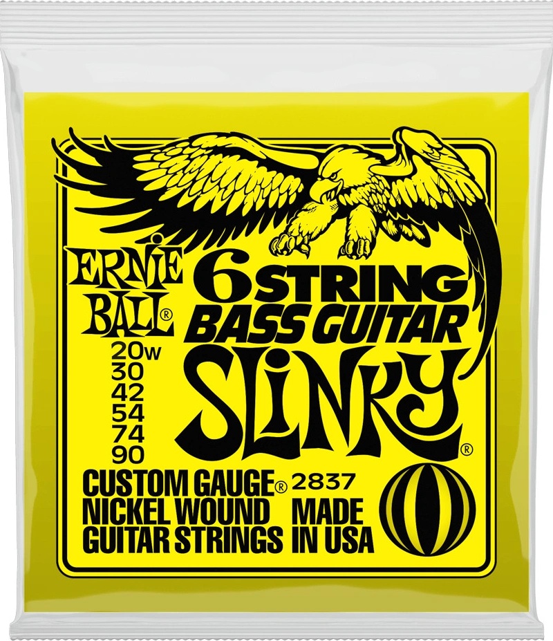 Ernie Ball 2837