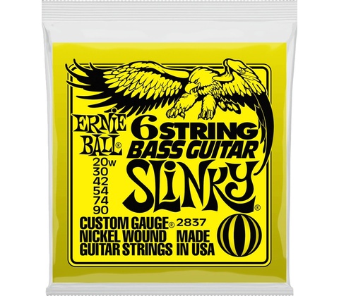 Ernie Ball 2837