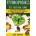Hydroponics: The Essential Hydroponics Guide: A Step-By-Step Hydroponic Gardening Guide to Grow Fruit, Vegetables, and Herbs at Hom | Andy Jacobson