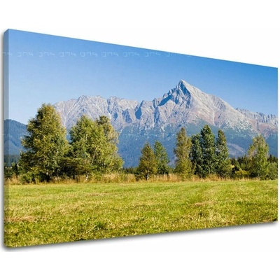 Obraz na stenu SLOVENSKO - 60x90 cm
