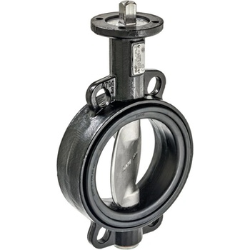 Belimo D6125W