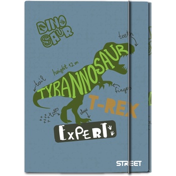 STREET Папка с ластик Street Dino A4, 1 cm (31155-А-DINO)