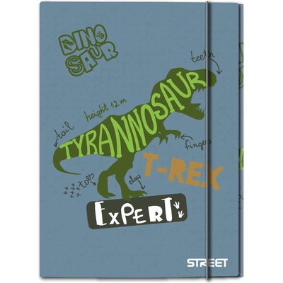 STREET Папка с ластик Street Dino A4, 1 cm (31155-А-DINO)