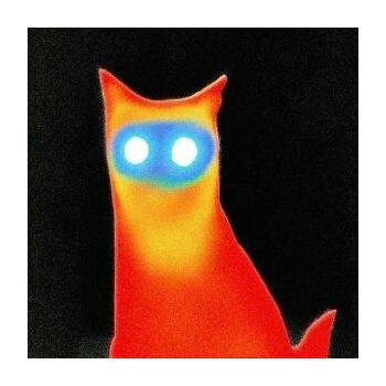 Basement - WIRED LP