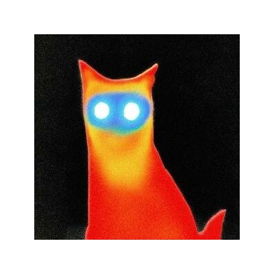 Basement - WIRED LP