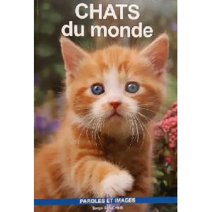 CHATS DU MONDE | SANCHES (2023)