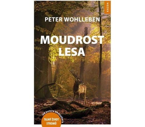 Moudrost lesa