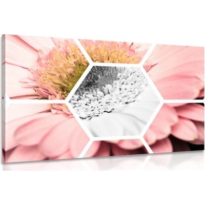 Obraz gerbera v šestiúhelníku - 150x100