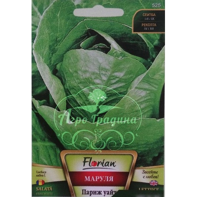 Флориан Маруля Париж Уайт (светло зелена)