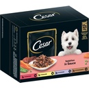 Cesar Selection mäso a zelenina v omáčke 12 x 100 g