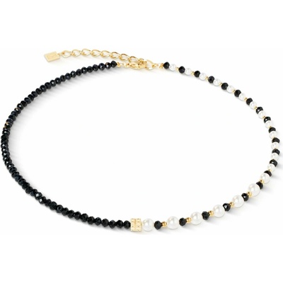 Coeur de Lion 4313/10-1314