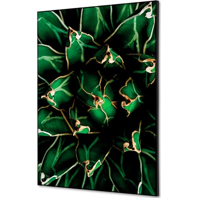 Jansen Display Textilní dekorace na zeď A2 Cactus zelená, 420 x 594 mm