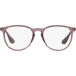 Ray-Ban Erika RX7046 8139 / RB7046 8139