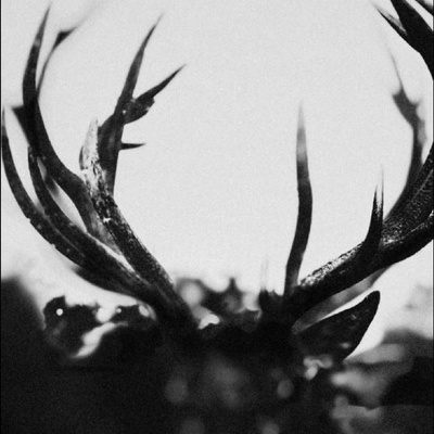 IHSAHN - IHSAHN CD