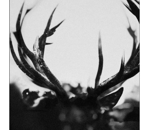IHSAHN - IHSAHN CD