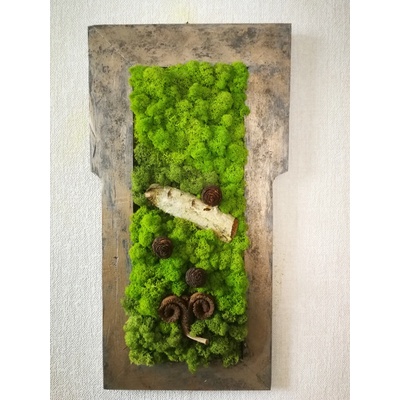 Machový obraz s atypickým tvarom rámu 70cm x 37cm
