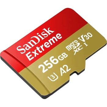 SanDisk microSDXC 256GB SDSQXAV-256G-GN6GN