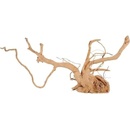 Zolux pavúk koreň 50-60 cm