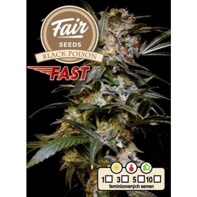 Fair Seeds Black Poison Fast semena neobsahují THC 10 ks