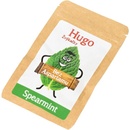 Hugo peppermint 9 g