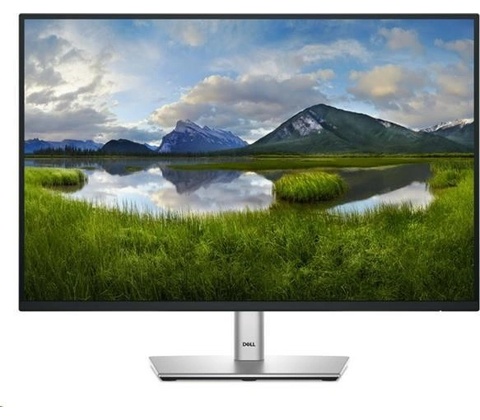 Dell P2425E
