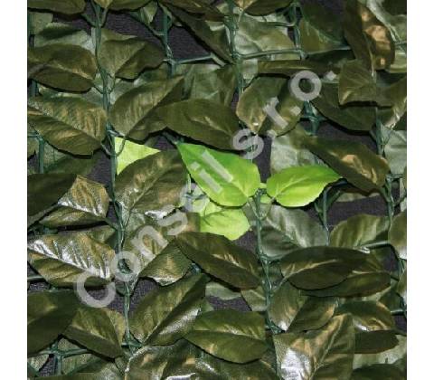TILIA