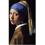 DIMEX ART Флизелинов фототапет момиче с перлена обица от йоханес вермер 150 x 250 см