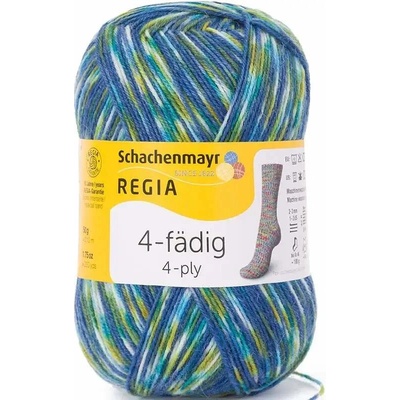 Regia 4-Ply Color 9395 Camping color
