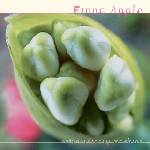 Fiona Apple - Extraordinary Machine (2 LP) (0196588302718)