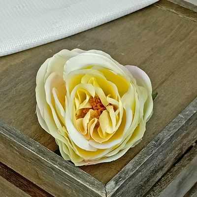 Ruža krémová - hlava