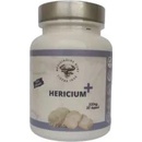 Hericium Plus 90 kapsúl