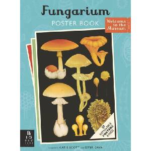 Fungarium Poster Book | Katie Scott (ISBN: 9781536232516)