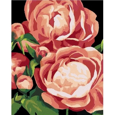 Zuty Malování Podle Čísel Pivoňky 3 Myroslava Voloschuk 80 x 100 Cm Plátno Rám