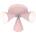 Candellux AMOR 98-68811