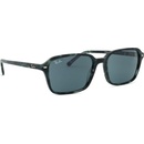 Ray-Ban Raimond RB2231 1417R5