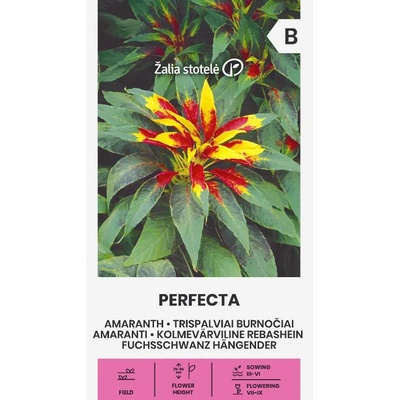 Seklos Амарант (Щир) Perfecta Amaranthus gangeticus L