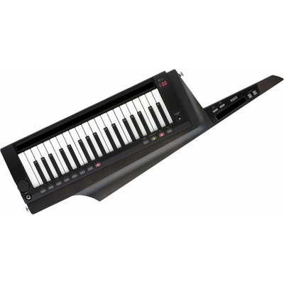 Korg RK-100S2