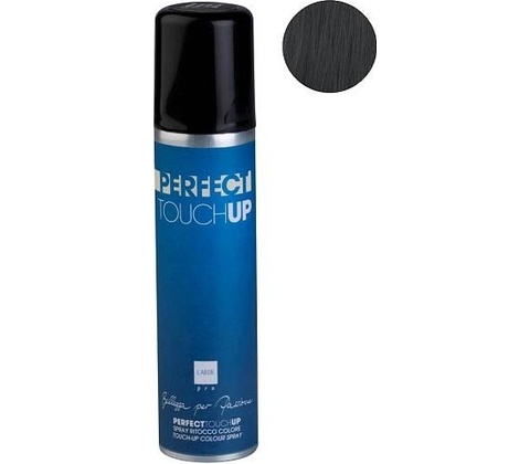 Labor Pro Perfect TouchUp Sprej na šediny a odrosty Černá 75 ml
