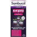 Doplňky stravy Sambucol pro děti sirup 120 ml