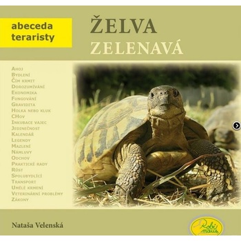 Želva zelenavá