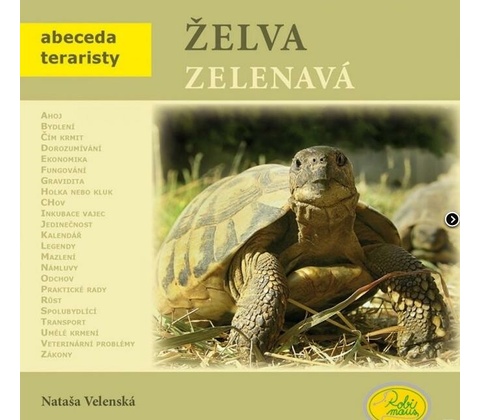 Želva zelenavá