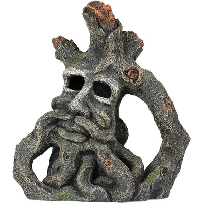 Duvo Jakobův kořen 25 x 13 x 28 cm
