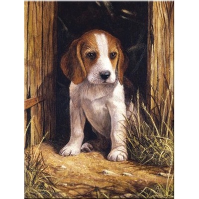 Royal & Langnickel Malování podle čísel Bígl