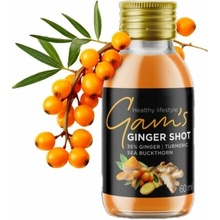 Gam's Zázvor Shot Kurkuma & Rakytník 60 ml